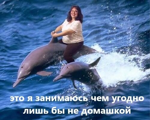 Кот удивлен