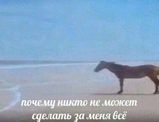 Мем с котом 4